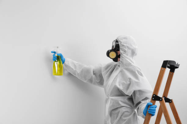 Lake Don Pedro, CA Mold Removal & Remediation Company